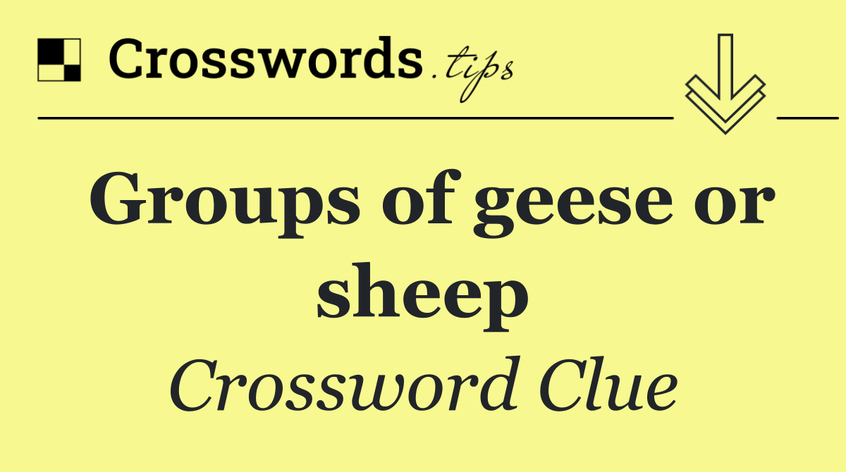 Groups of geese or sheep