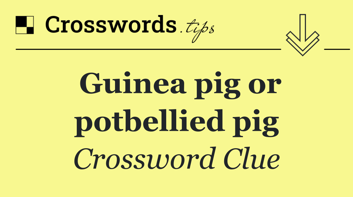 Guinea pig or potbellied pig