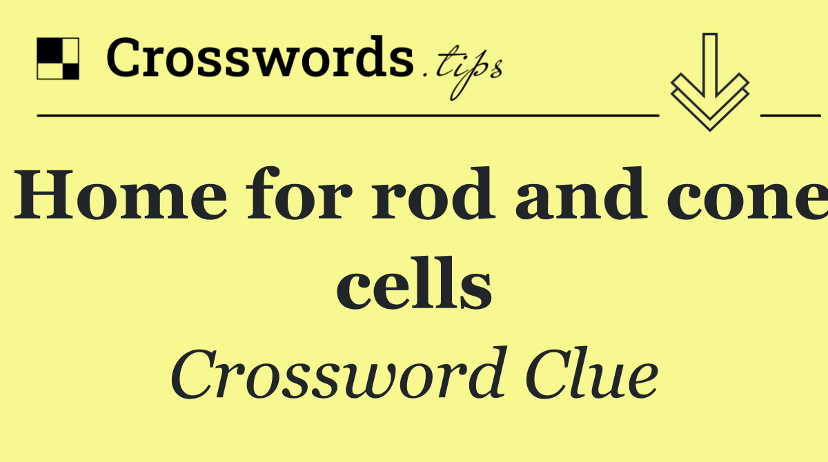 Home for rod and cone cells