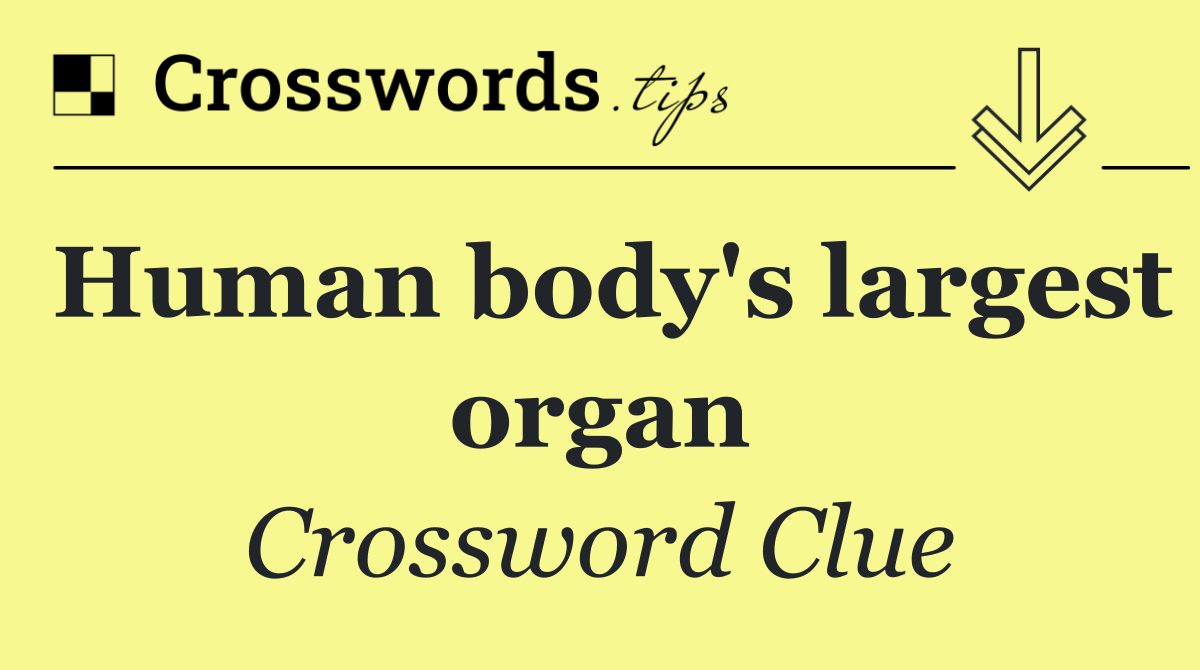 Human body's largest organ