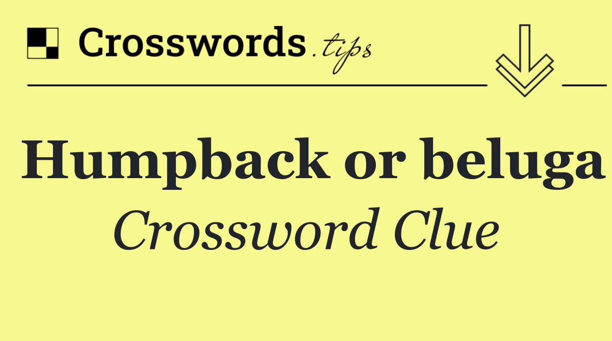 Humpback or beluga