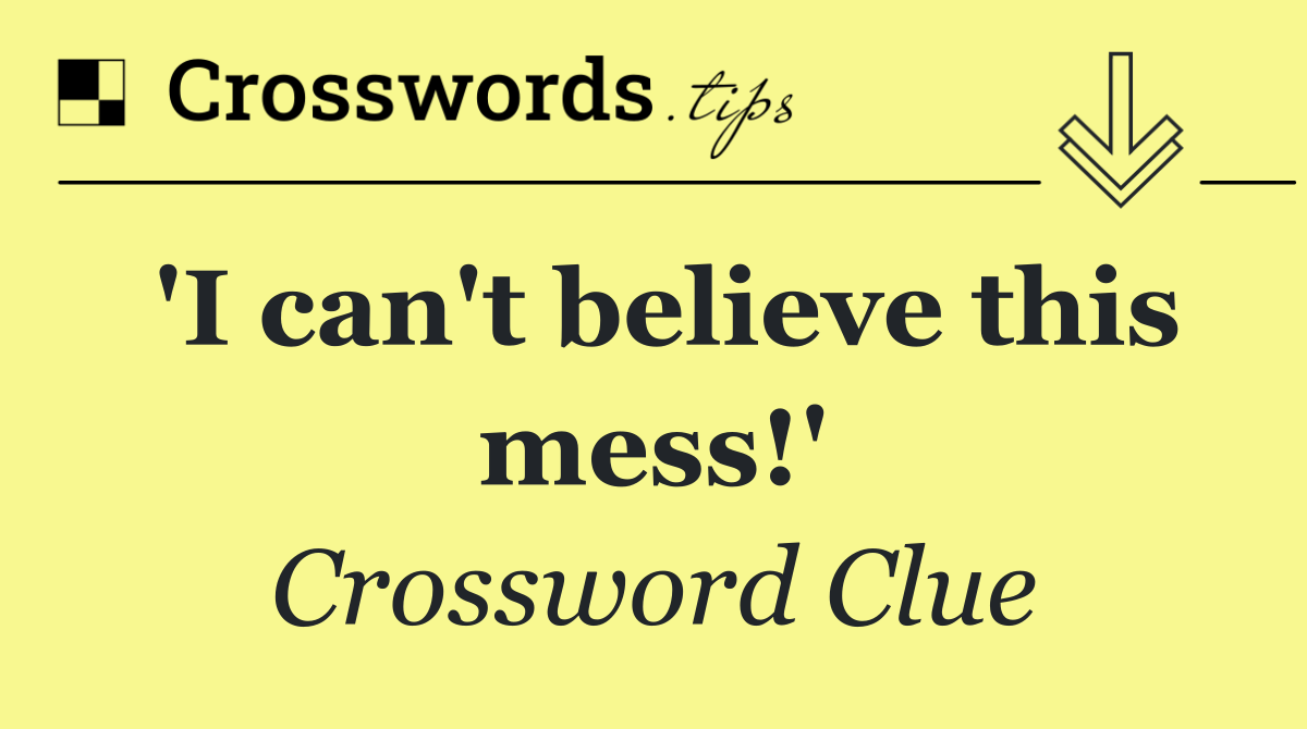 'I can't believe this mess!'