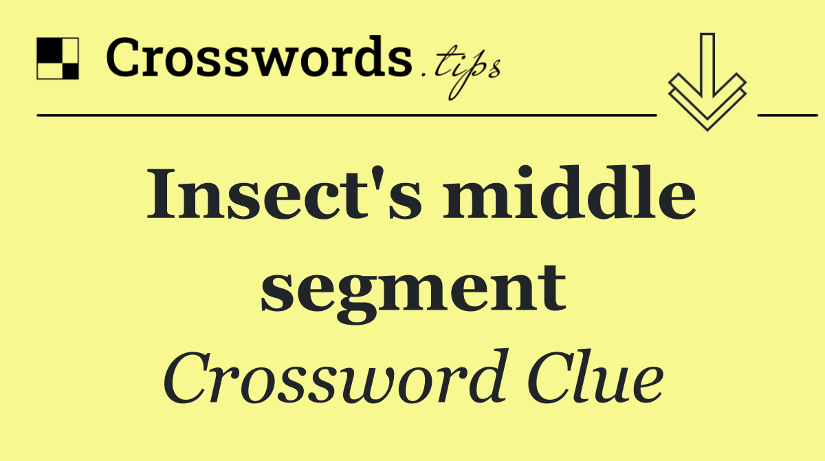 Insect's middle segment
