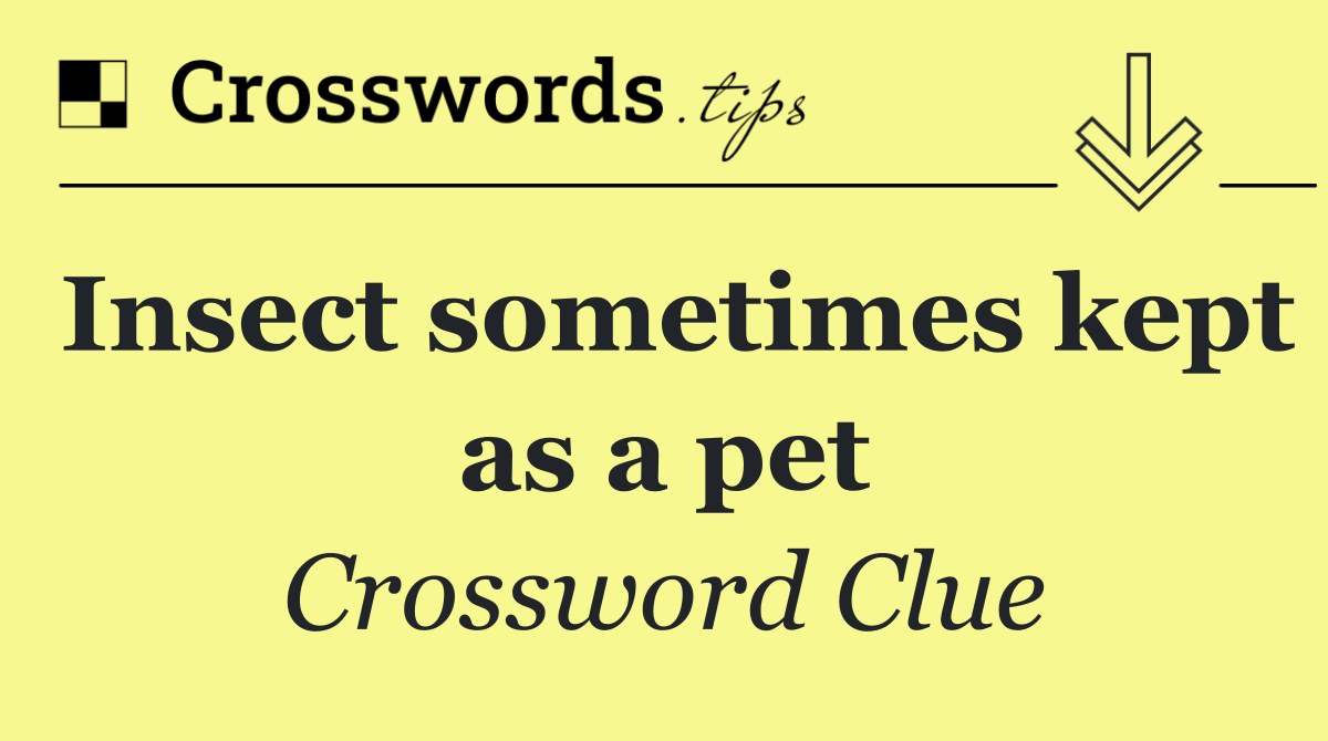 Insect sometimes kept as a pet