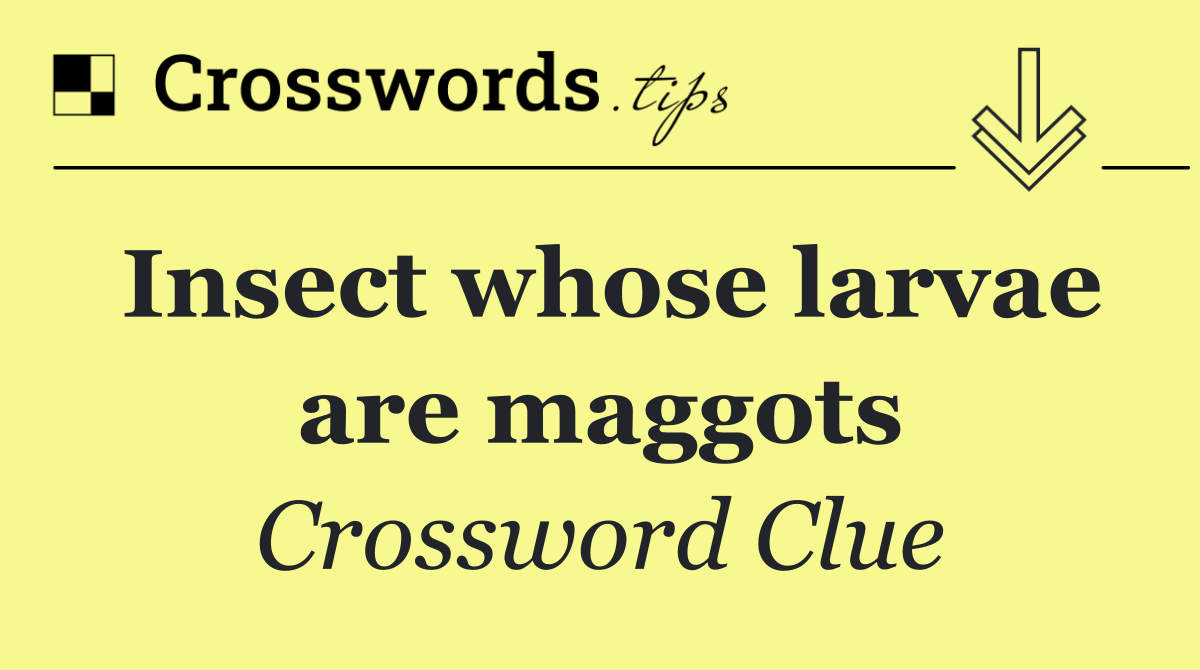 Insect whose larvae are maggots