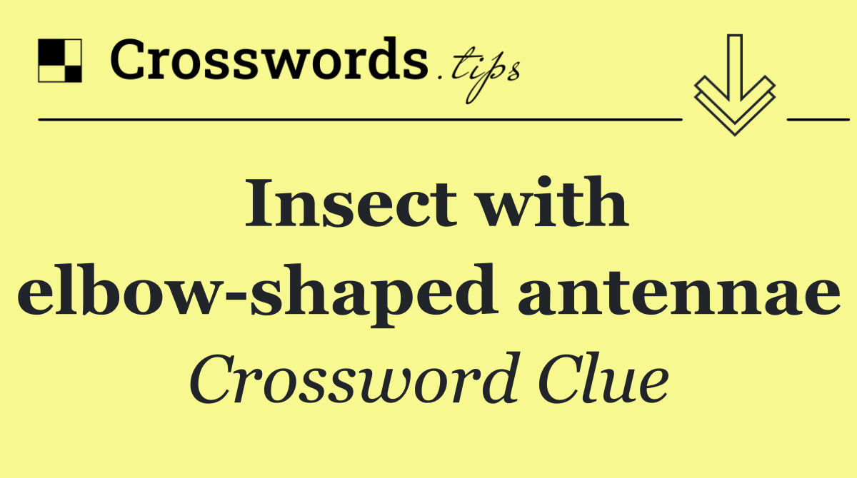 Insect with elbow shaped antennae