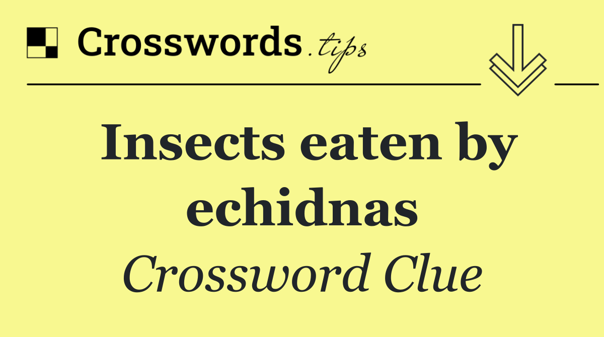Insects eaten by echidnas