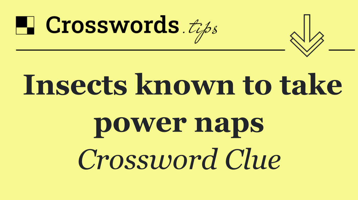 Insects known to take power naps