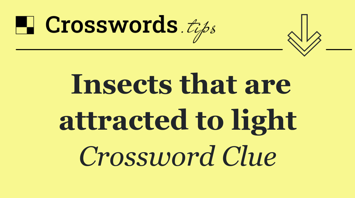 Insects that are attracted to light