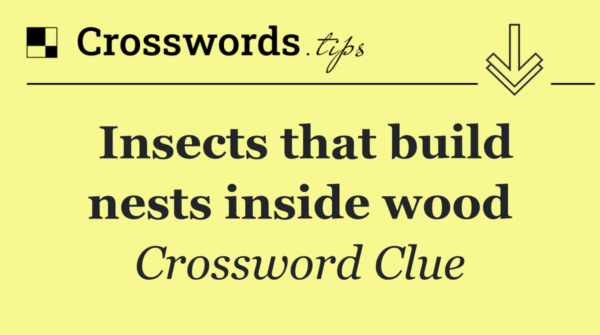 Insects that build nests inside wood