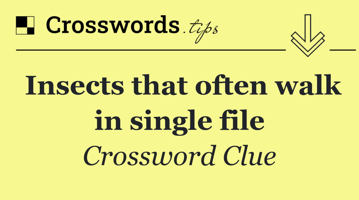 Insects that often walk in single file