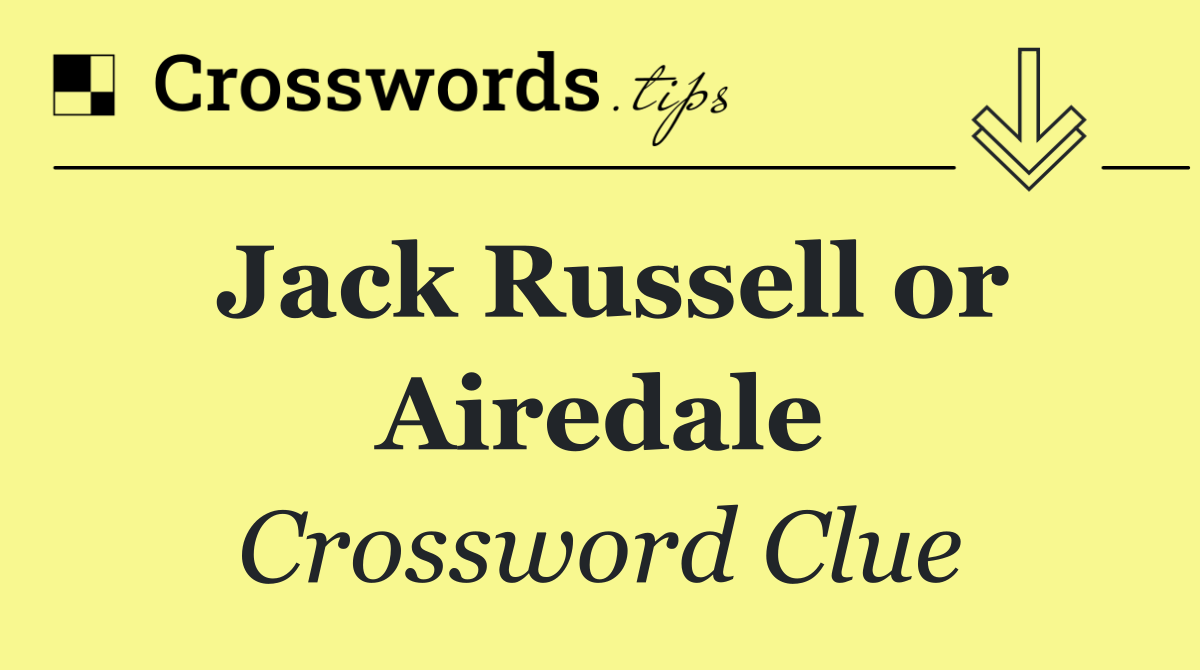 Jack Russell or Airedale