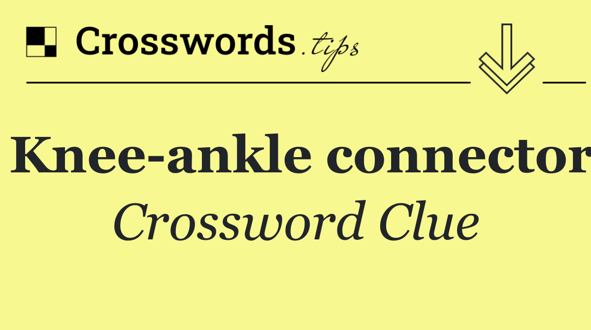 Knee ankle connector