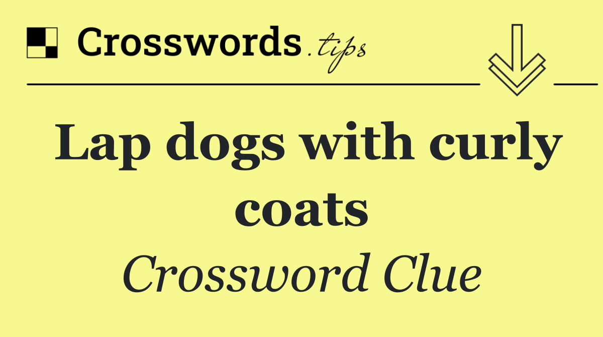 Lap dogs with curly coats