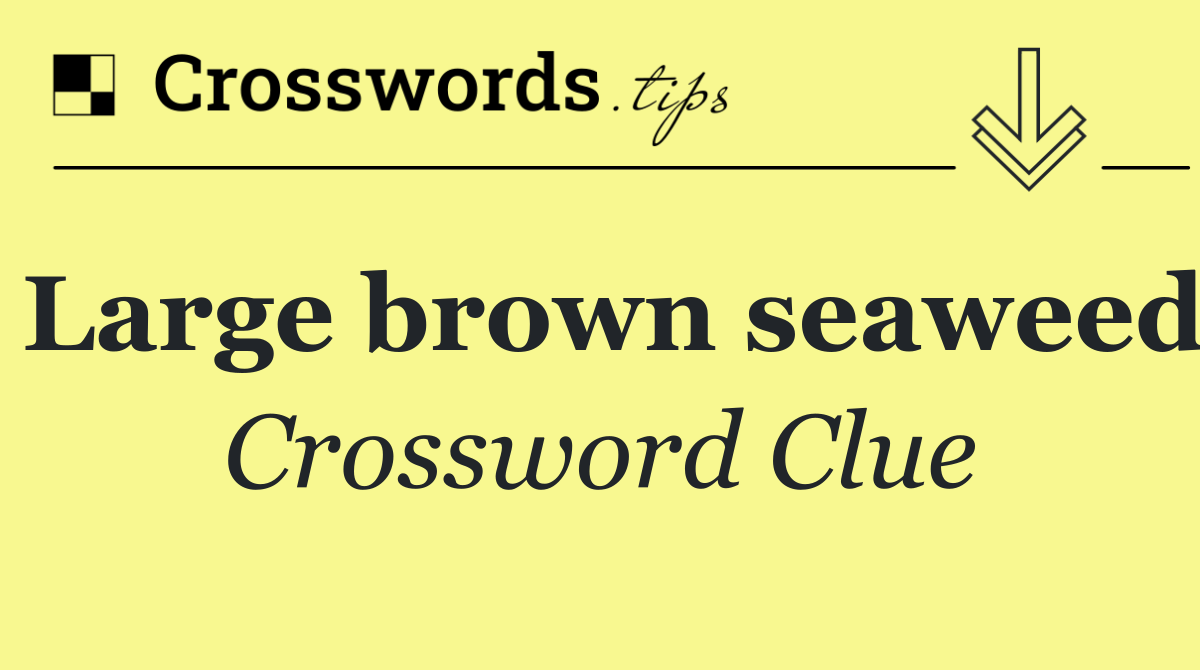 Large brown seaweed