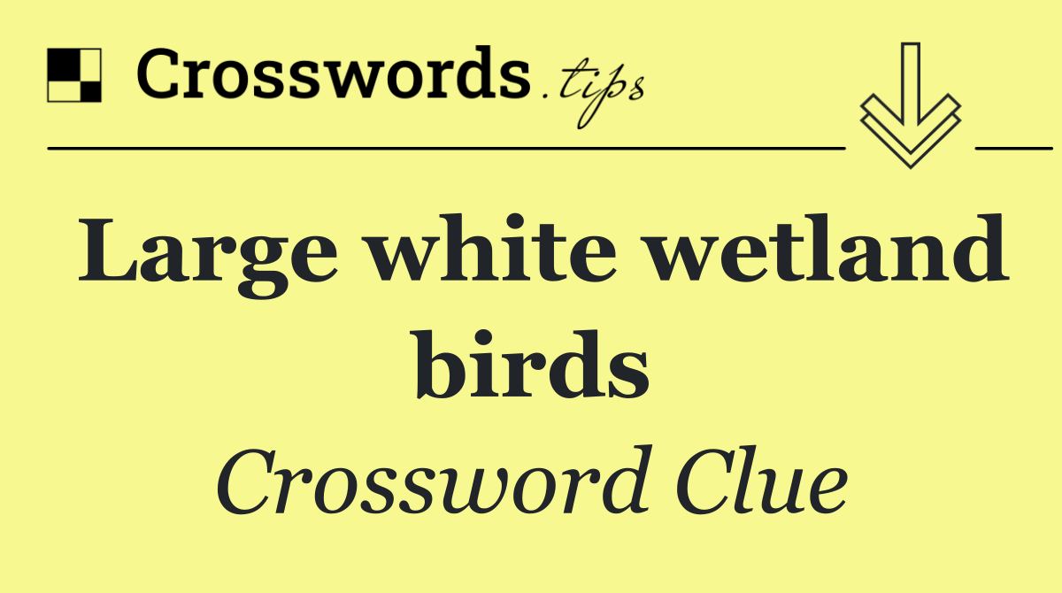 Large white wetland birds