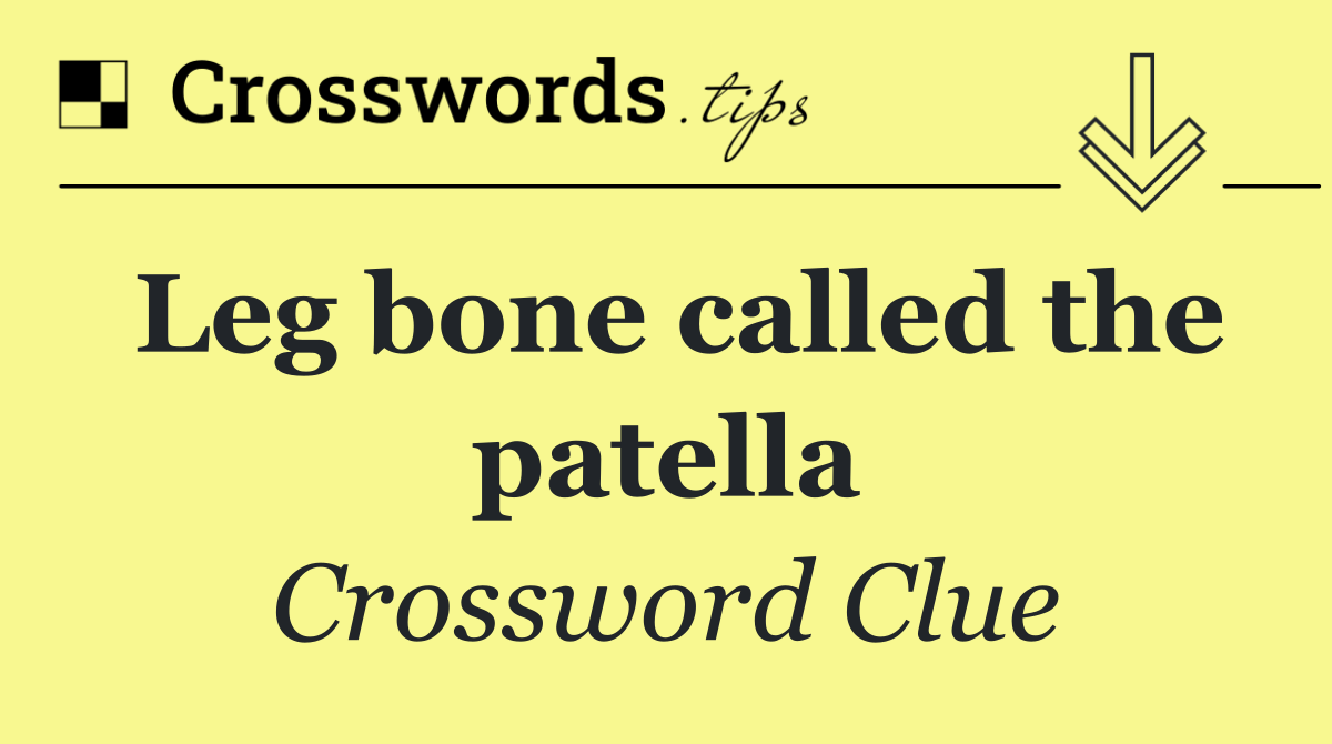 Leg bone called the patella