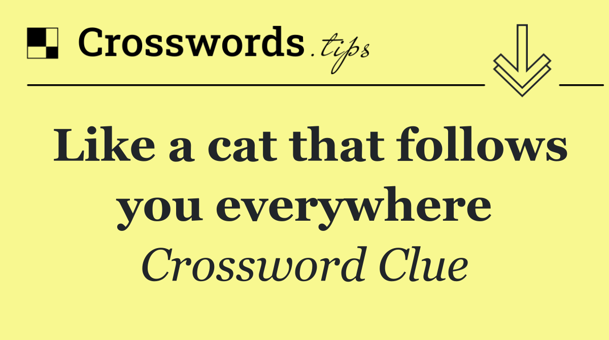 Like a cat that follows you everywhere