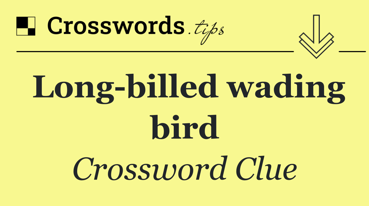 Long billed wading bird