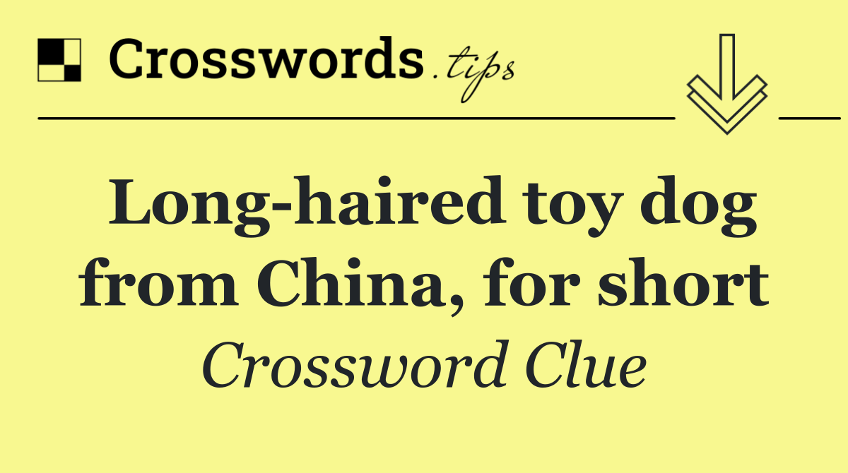 Long haired toy dog from China, for short