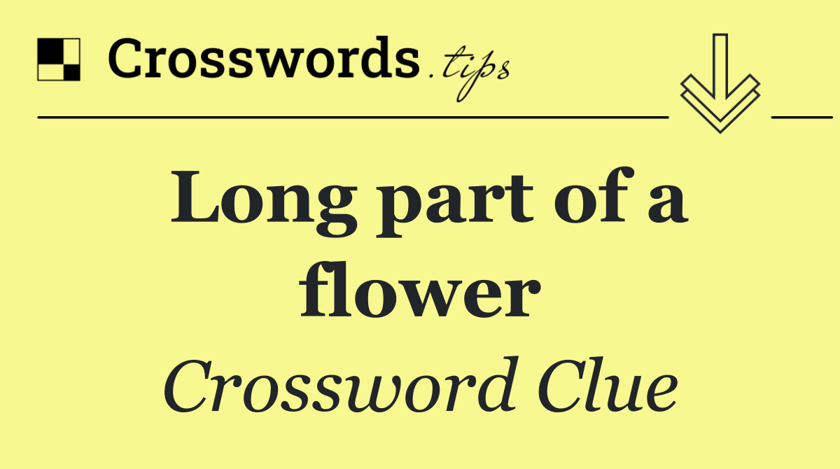 Long part of a flower
