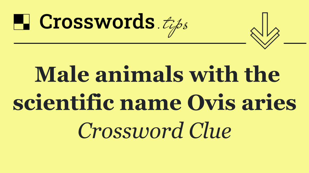 Male animals with the scientific name Ovis aries