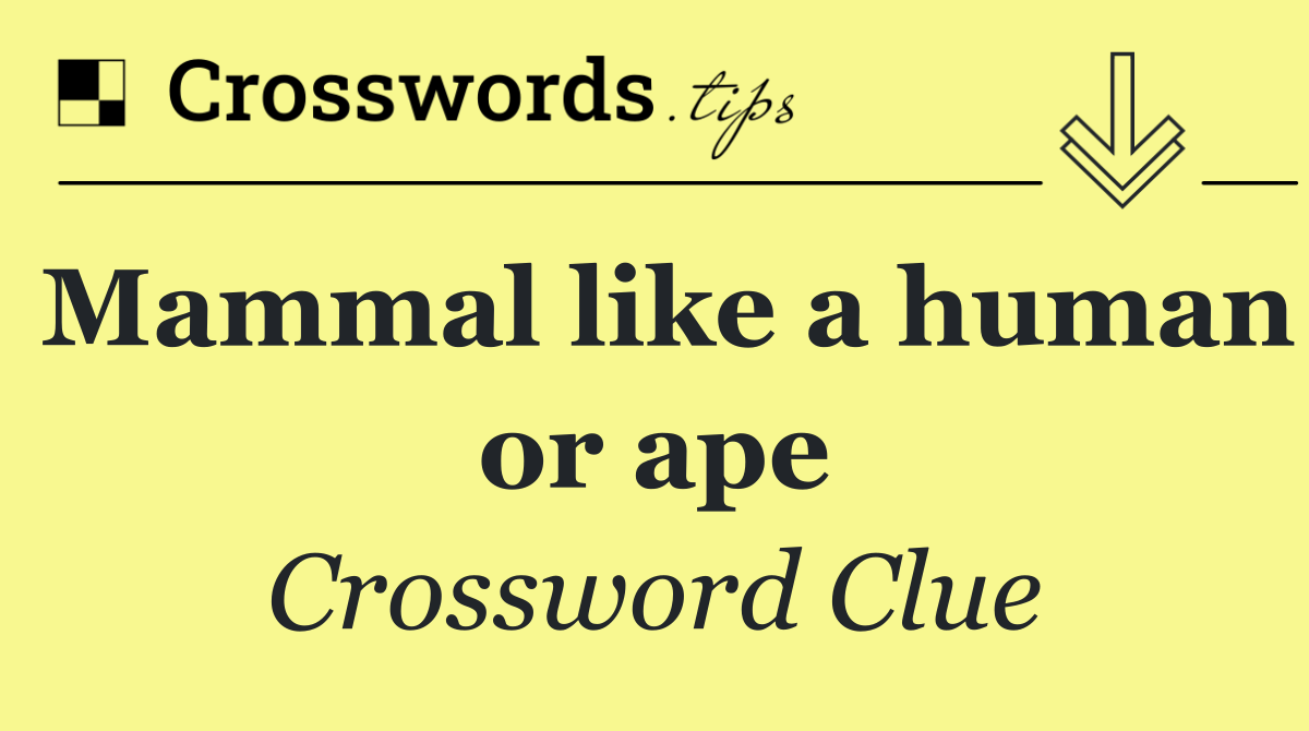 Mammal like a human or ape