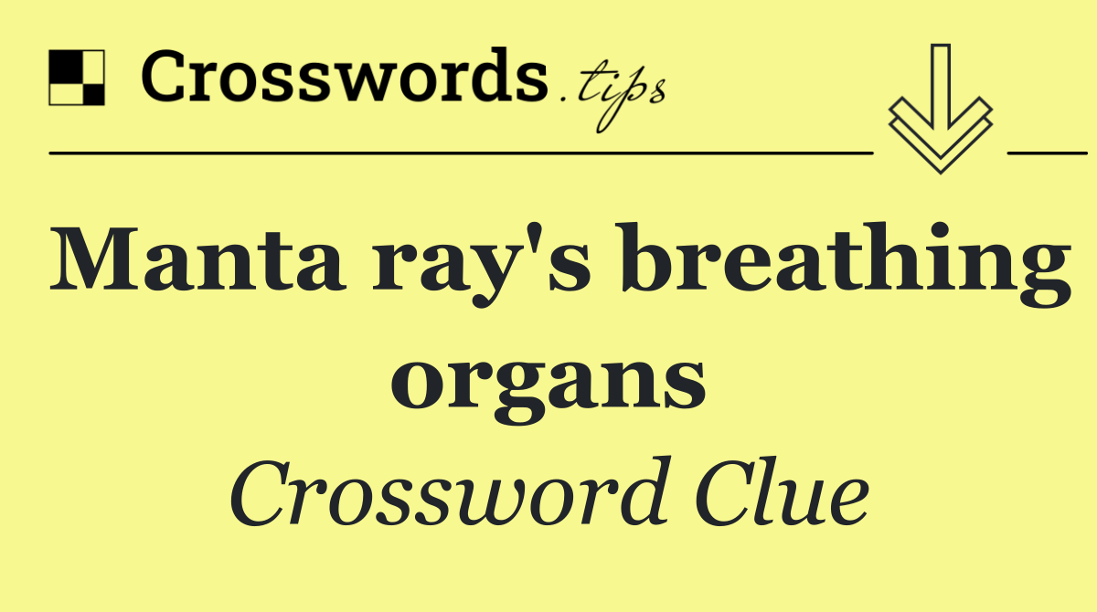 Manta ray's breathing organs