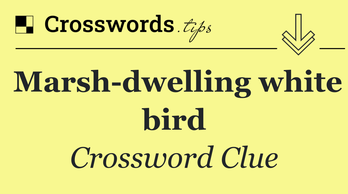 Marsh dwelling white bird