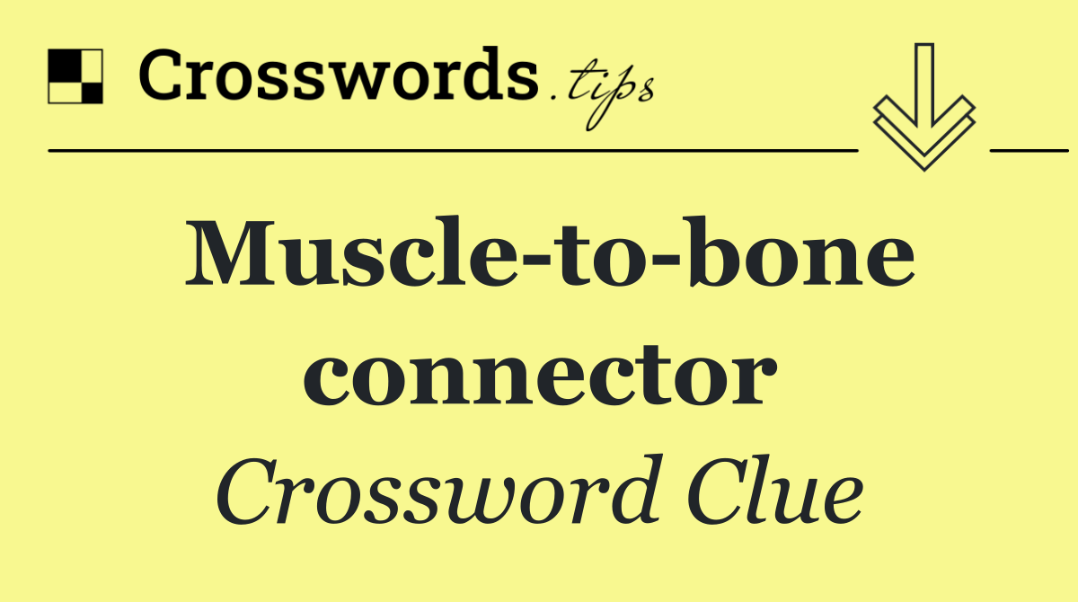 Muscle to bone connector