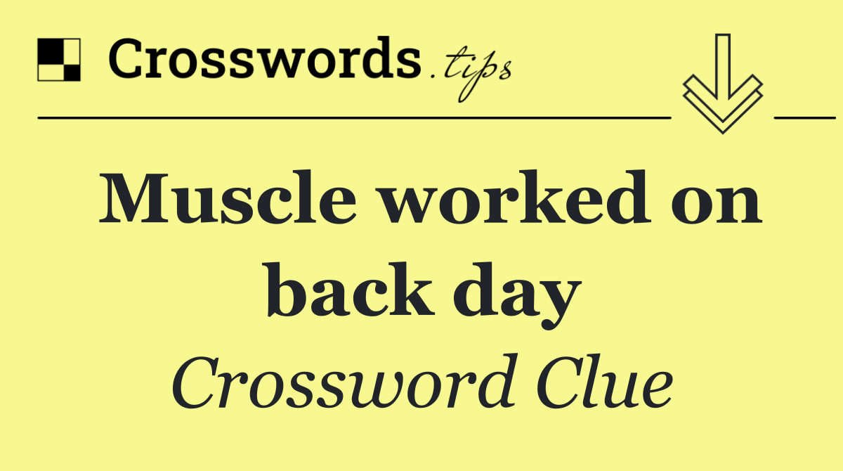 Muscle worked on back day