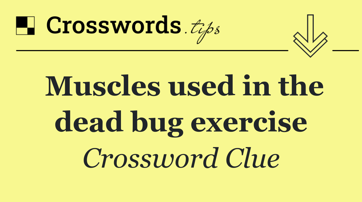 Muscles used in the dead bug exercise