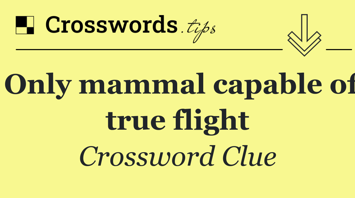Only mammal capable of true flight