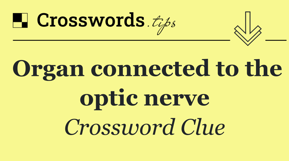 Organ connected to the optic nerve
