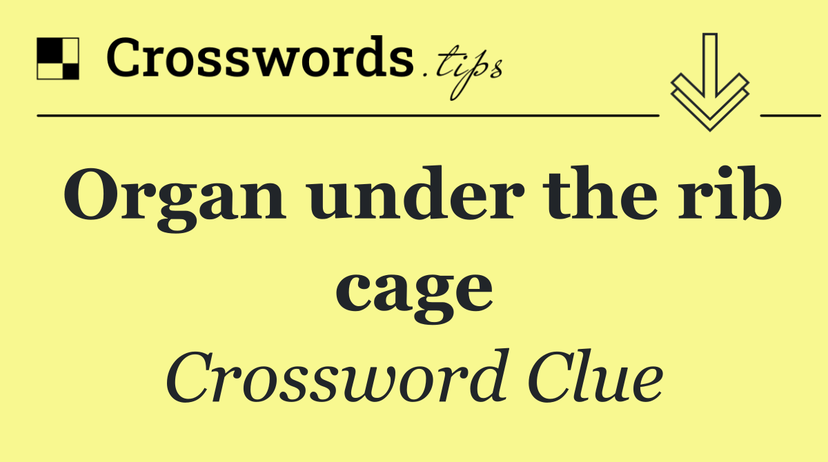 Organ under the rib cage Crossword Clue Answer October 26 2024