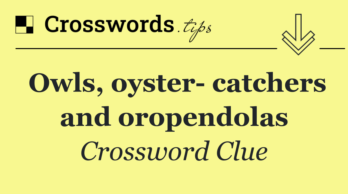 Owls, oyster  catchers and oropendolas