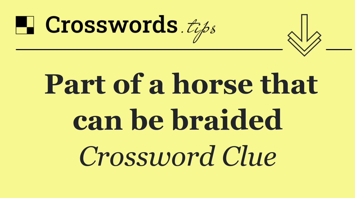Part of a horse that can be braided