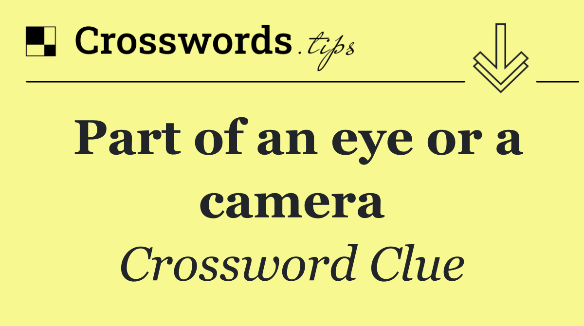 Part of an eye or a camera
