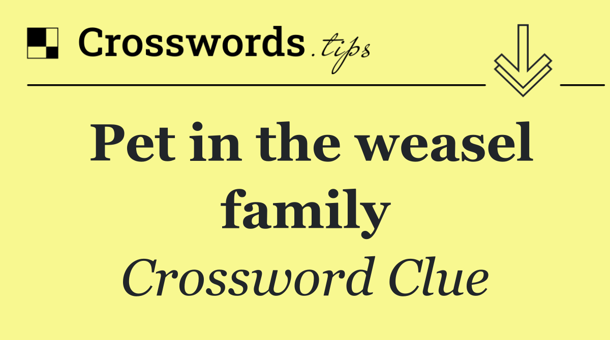 Pet in the weasel family