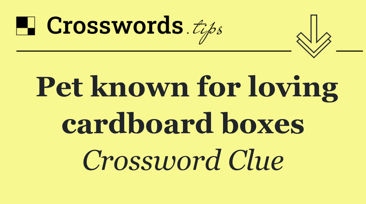 Pet known for loving cardboard boxes