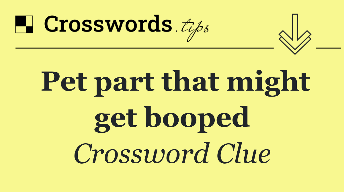 Pet part that might get booped