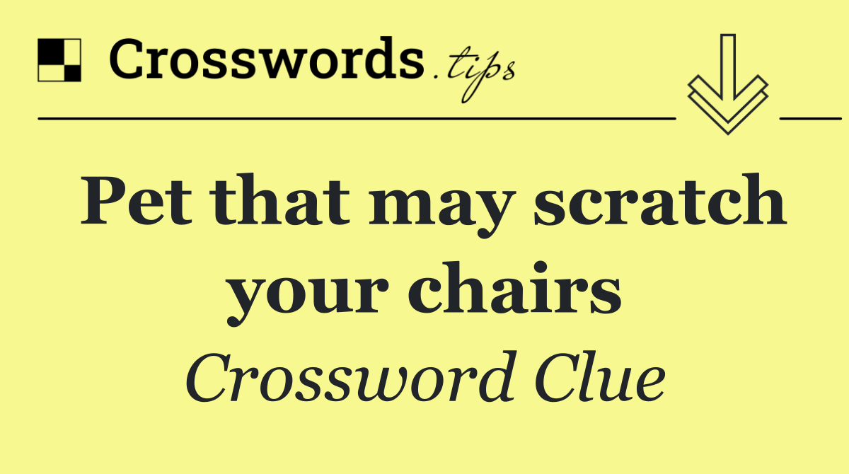 Pet that may scratch your chairs