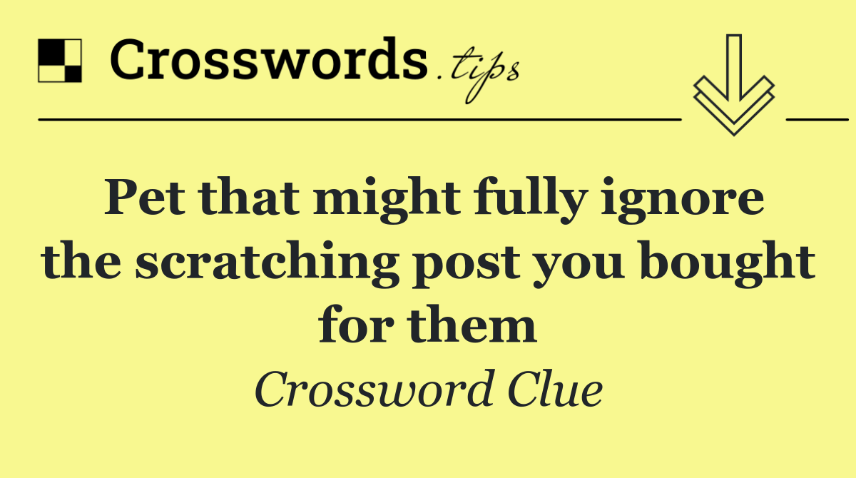 Pet that might fully ignore the scratching post you bought for them