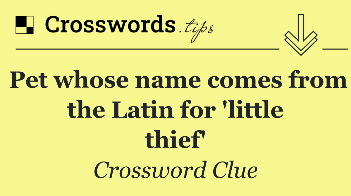 Pet whose name comes from the Latin for 'little thief'