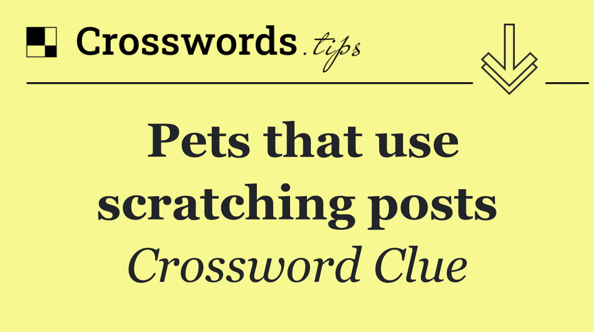 Pets that use scratching posts