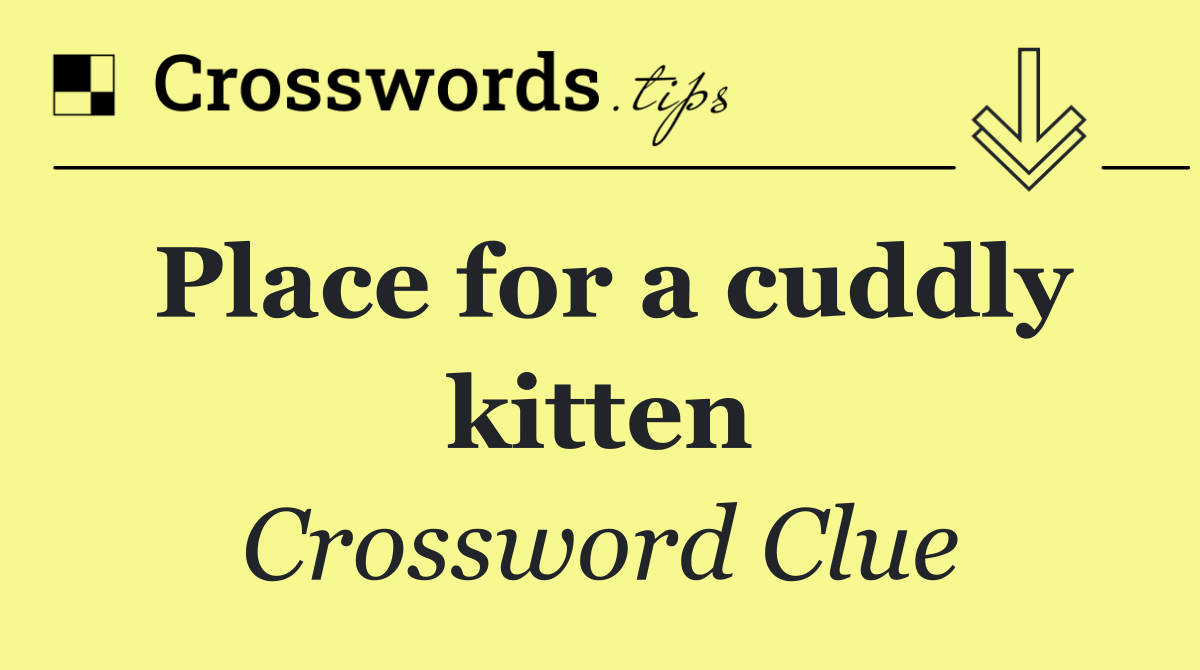 Place for a cuddly kitten