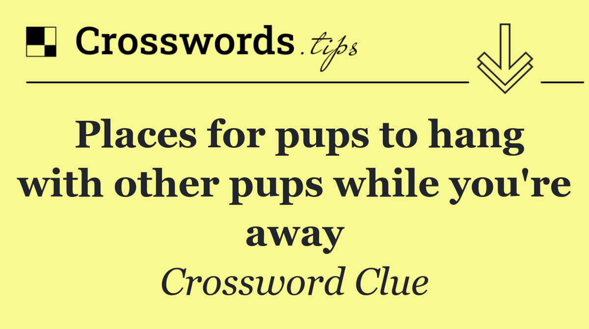 Places for pups to hang with other pups while you're away