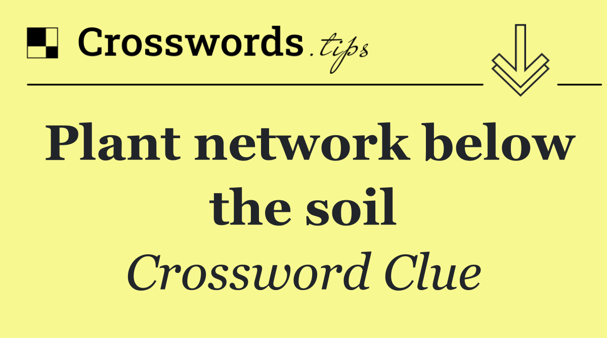 Plant network below the soil