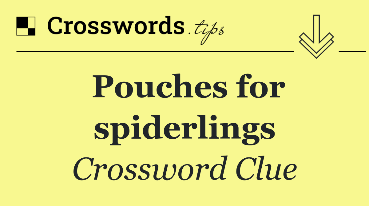 Pouches for spiderlings