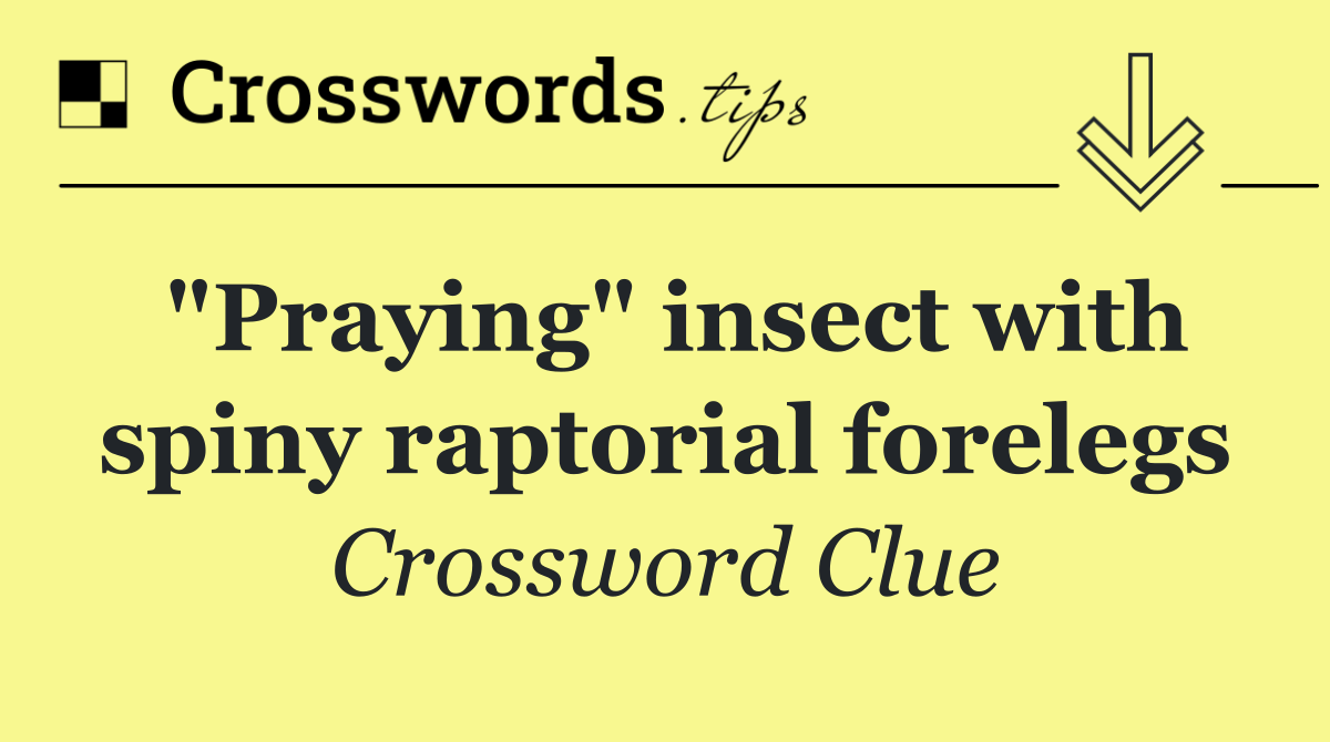 "Praying" insect with spiny raptorial forelegs